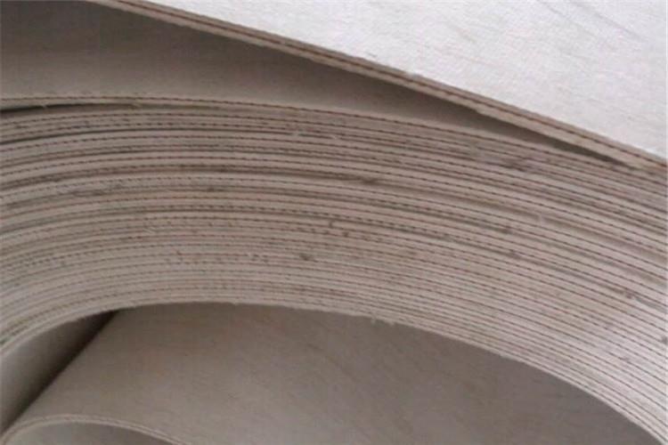 謹記！莫讓帆布分層輸送帶因撒料問題而遭受損(圖1)