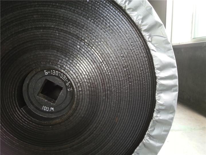 NN輸送帶(圖3) NN輸送帶(圖3)